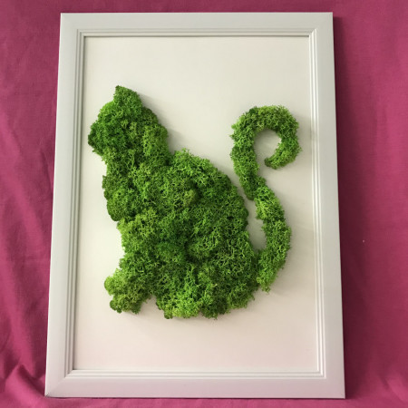 tablou cu licheni in forma de pisica