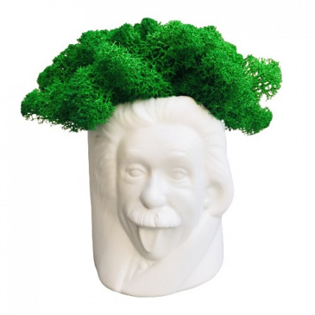 Ghiveci Einstein decorat cu licheni