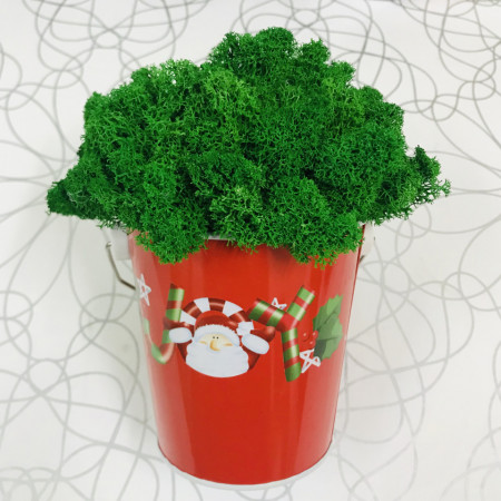XMas JOY - decor cu licheni
