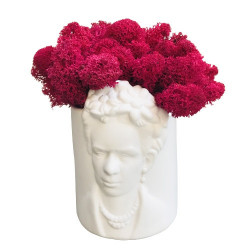 Ghiveci Frida decorat cu licheni