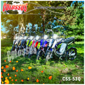 COLOSSUS Elektični bicikl zeleni CSS-53Q