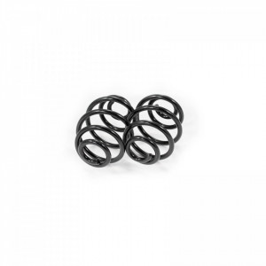 Set arcuri elicoidale spate DAEWOO NEXIA 1995-1997