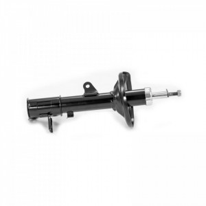 Amortizor spate stanga, presiune gaz HYUNDAI MATRIX 2001-2010