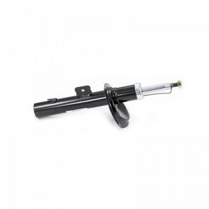 Amortizor fata dreapta, presiune gaz PEUGEOT 206 1998-2008