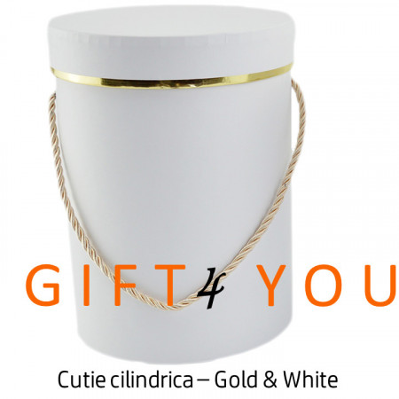 Cutie cadou rotunda - Gold & White