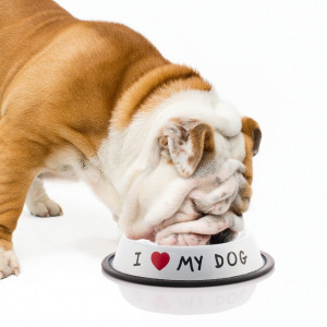 Castron I love My Dog