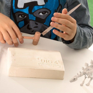 Joc de Paleontologie pentru copii