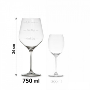 Set de pahar gigantic pentru vin Who Cares si pahar shot in carcasa Elegance