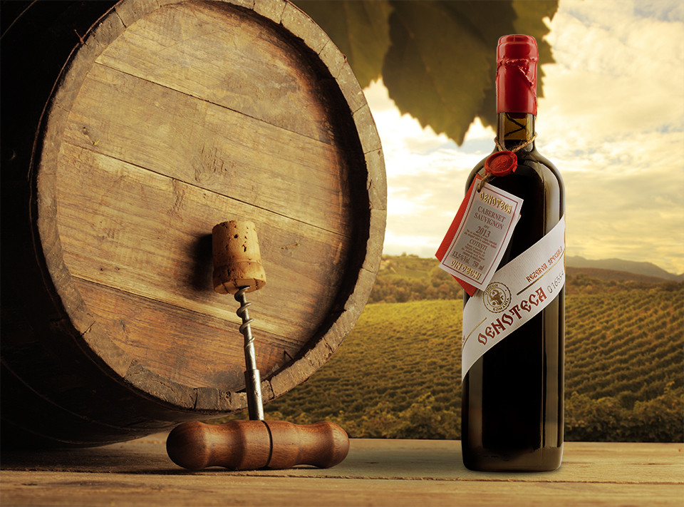 Vincon, Oenoteca, Cabernet Sauvignon, 2013, Sec, 13.5%, 0.75L