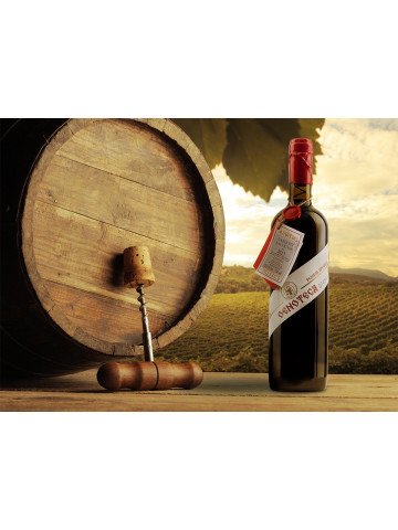Vincon, Oenoteca, Cabernet Sauvignon, 2013, Sec, 13.5%, 0.75L