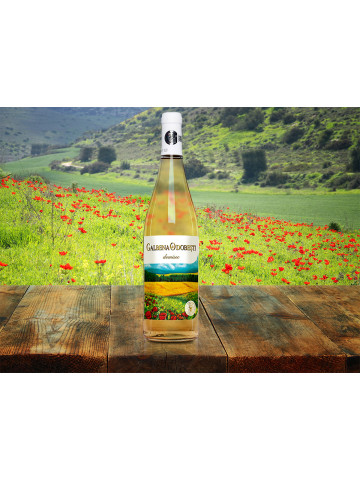 Vincon, Galbena de Odobesti, Demisec, 11.5%, 0.75L