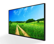 ALLSEE Monitor Profesional (43")