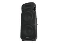OMNITRONIC VFM-2215 2-Way Speaker