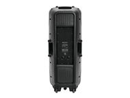 OMNITRONIC VFM-2215 2-Way Speaker