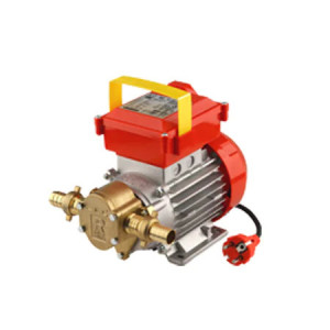 Pompa de transvazare Rover BE-G GALILEO 20 HP 0.8, 550 W, 1750 l/h