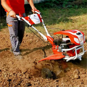 Motocultor Bisonte BTA-1000, 7 CP, benzina, 3 viteze