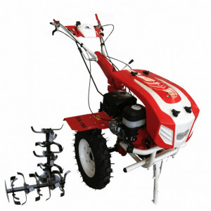 Bisonte BTA-13SG Motocultor motor 13cp 2+1 viteze, roti 5.00-12", far, priza de putere + accesorii (Pachet 3)
