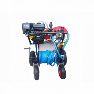 Pulverizator mobil Gardelina DVS200 Briggs & Stratton Electric Start