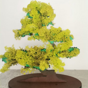 Bonsai cu licheni naturali stabilizati pe suport lemn 20 cm