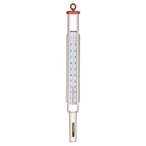 Termometru + carcasa protectie -10 / +110 °C