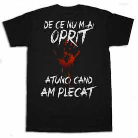 Tricou „De ce nu m-ai oprit”