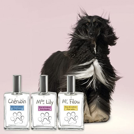 Parfem za mužjake - Beaphar Filou Premium 50ml