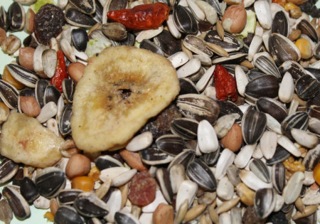 VERSELE-LAGA HRANA ZA VELIKE PAPAGAJE MIX 500g