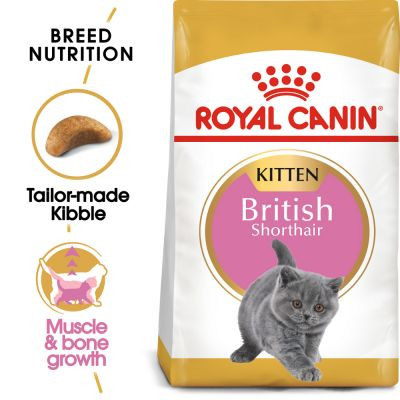 Royal Canin BRITISH SHORTHAIR KITTEN 2KG