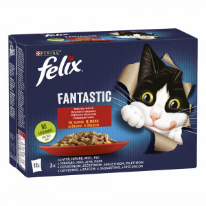 FELIX MULTIPAK BEEF/PILE 4*100g