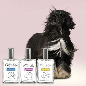 Parfem za ženke - Beaphar Lily Premium 50ml