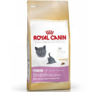 Royal Canin British Shorthair kitten 400 gr