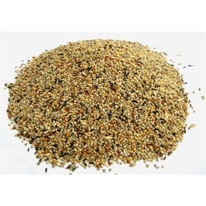 Versele-Laga HRANA ZA TIGRICE RIFUZ 500g