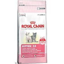 Royal Canin Kitten 400 gr