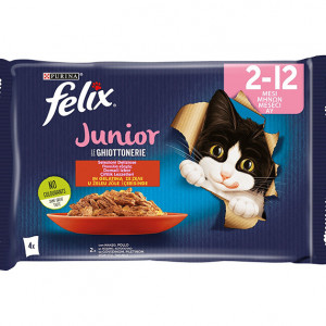 FELIX MULTIPAK YUNIOR 4X100g