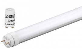 Neon LED T8 1200