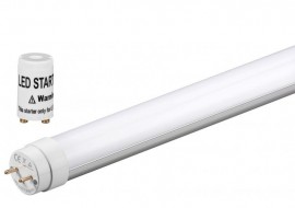 Neon LED T8 0600