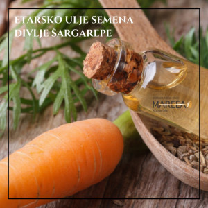 ETARSKO ULJE SEMENA DIVLJE ŠARGAREPE 10ML