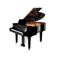 Pianos Acústicos