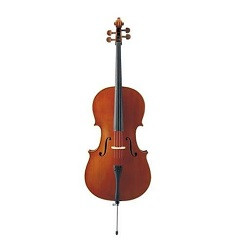 Violoncelos/Contrabaixos