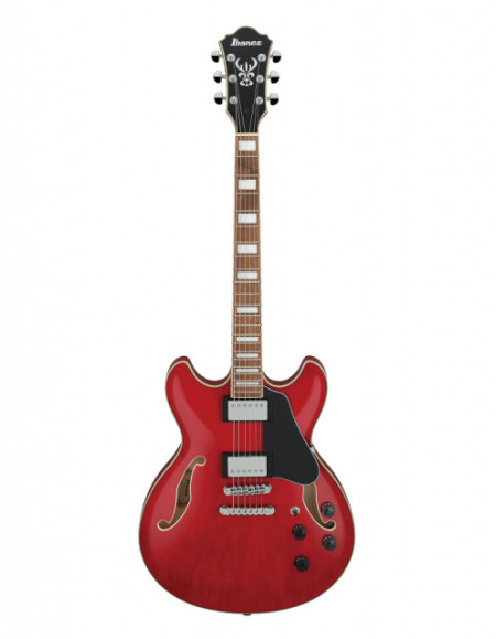 Ibanez AS73 TCR