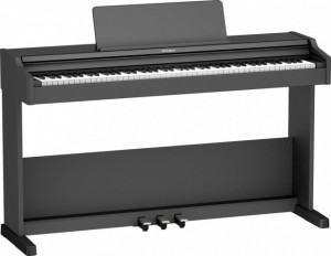 Roland RP-107 BK