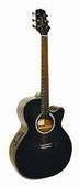 Takamine EG 541 C
