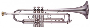 Yamaha YTR 8335 RGS Xeno