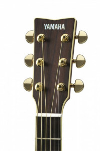 Yamaha LS16 ARE