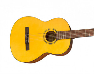 Fender ESC-110 WN