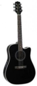 Takamine EG 531C