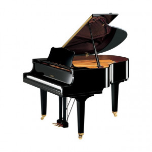 Yamaha GC 1 PE