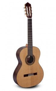 Paco Castillo 204