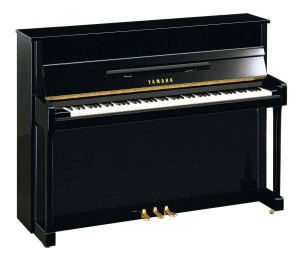 Yamaha B-2 PE