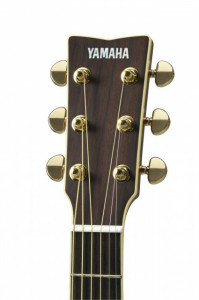 Yamaha LL16 ARE